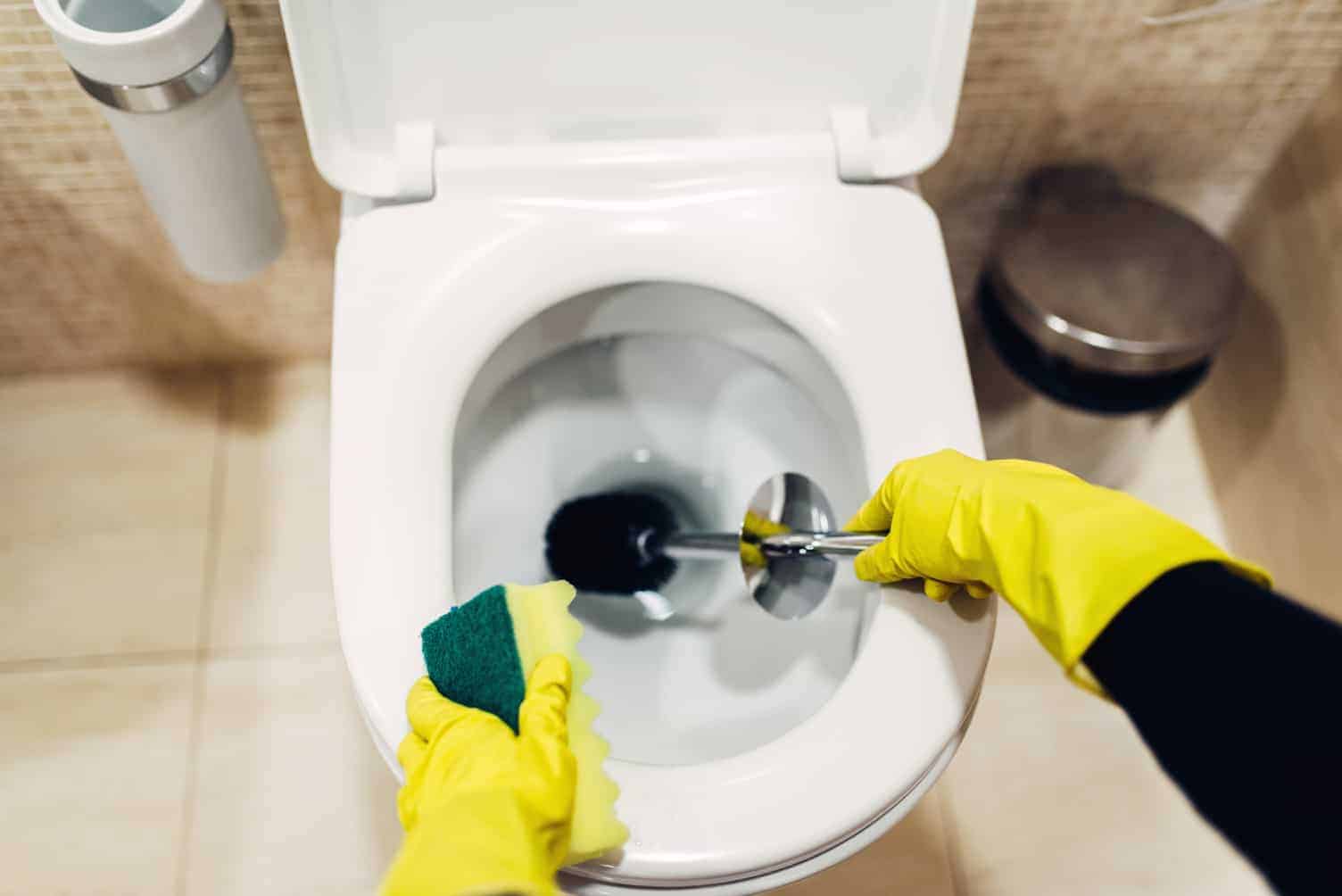 Il metodo più semplice per pulire il WC in pochissimi minuti