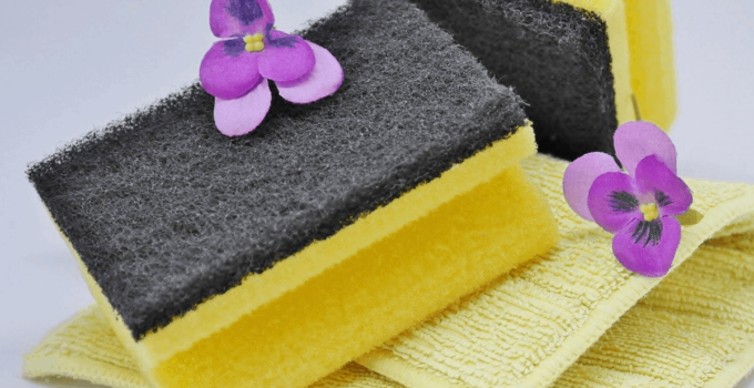Come disinfettare spugne e panni 1 spugne