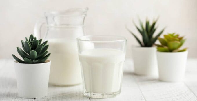 banner glass of milk jug of milk green plants 2021 10 21 03 49 05 utc 1 1