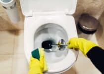 housemaid in gloves cleans the toilet with brush 2021 08 26 16 26 30 utc 1 1