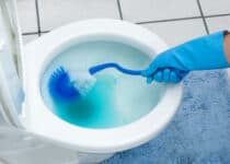 cleaning toilet 2021 08 26 15 26 38 utc 1 1