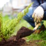 5 Consigli e trucchi per il giardinaggio