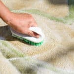 Come rimuovere le macchie dai tappeti