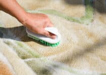 carpet cleaning with brush and detergent foam clo 2022 02 11 18 22 33 utc 1