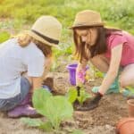 Trasforma il tuo caffè in fertilizzante fatto in casa per il tuo giardino di casa