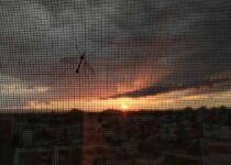 sunset cloudy sky mosquito mosquitoes 2022 05 17 02 13 10 utc 1 1