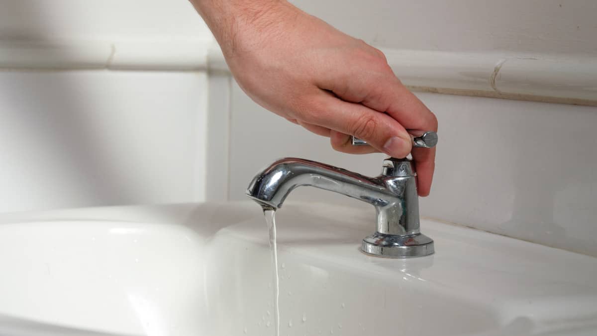 Supporto Per Telaio Per Apicoltura Attrezzo Presa Di Cattura Alveare Acciaio Inossidabile Apicoltura Telaio Supporto Impugnatura Del Telaio Dell' Alveare In Legno Per Afferrare Il Telaio Dell'alveare