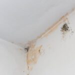 Come pulire le macchie di umidità dal soffitto