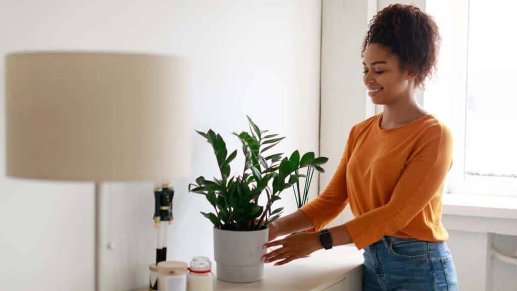 black woman putting vase with plant on cupboard 2022 01 05 02 31 44 utc