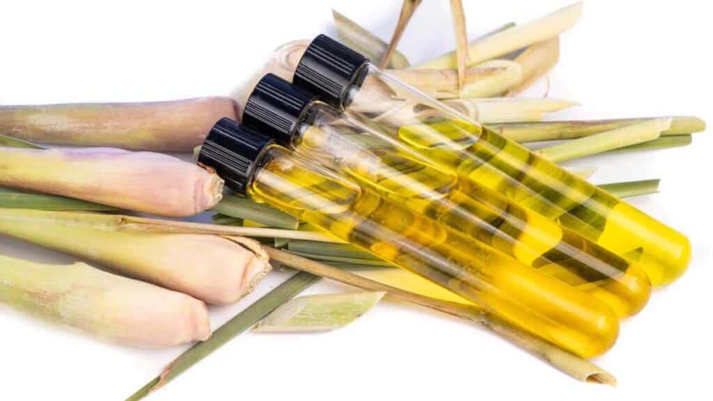 lemongrass essential oil extract with test tubes a 2021 08 31 08 46 52 utc