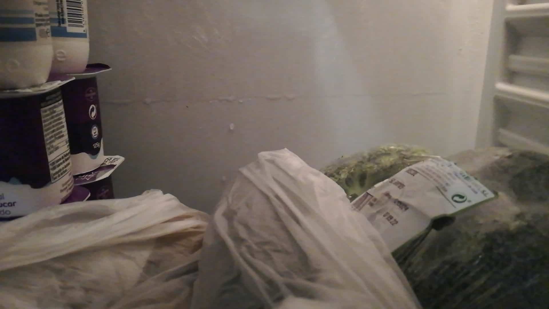 Aletta Originale - Frigorifero, Congelatore - BOSCH - 2740544058212227858 - Foto 4