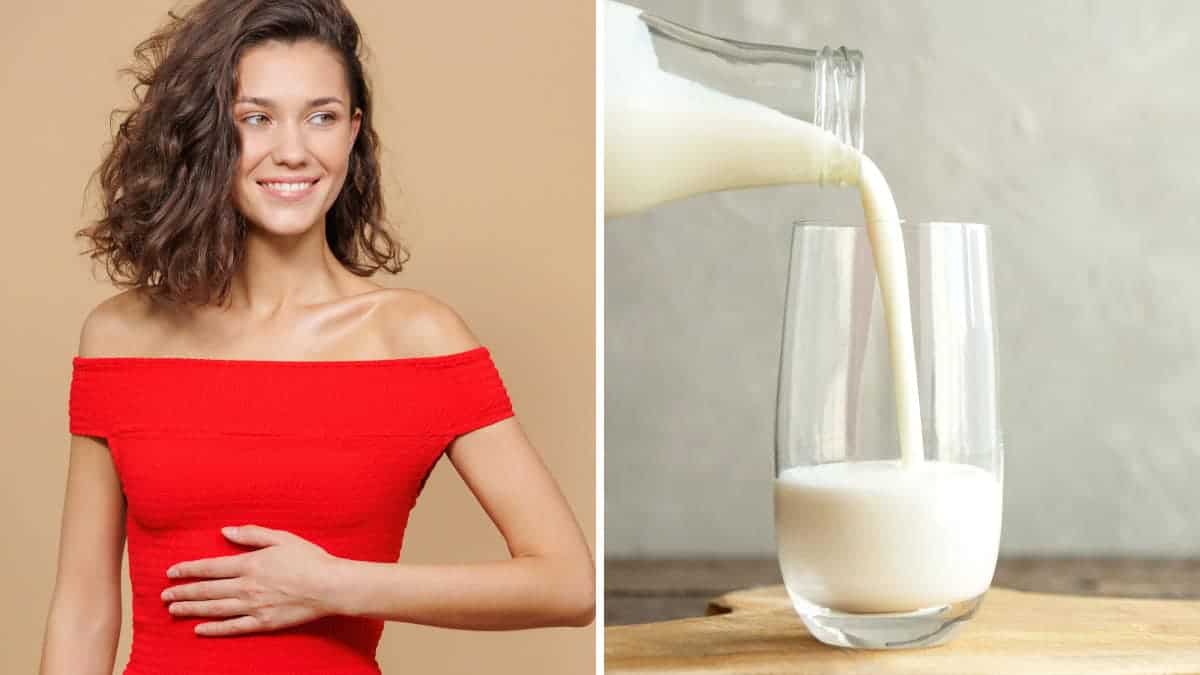 A cosa servono i fermenti lattici?