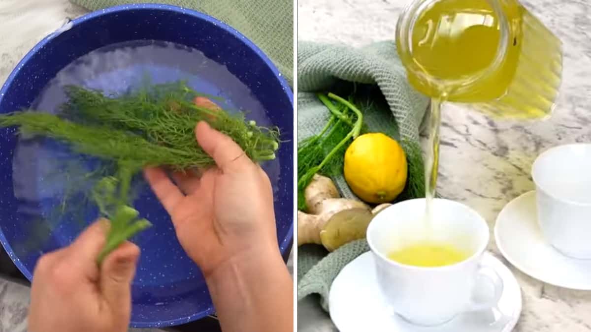 Depurativa e perfetta sia calda che fredda, ecco come preparare una tisana detox