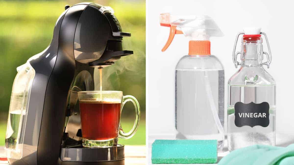 Come pulire la macchina del caffè: basta solo un ingrediente che tutti abbiamo in cucina