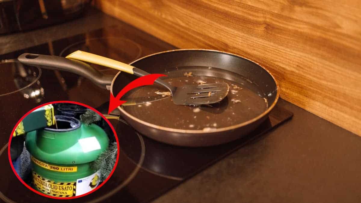 Come smaltire correttamente l’olio da cucina