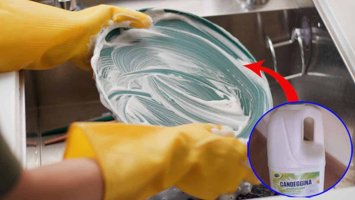 Cosa succede se si lavano i piatti con la candeggina? La risposta che in pochi si aspettano