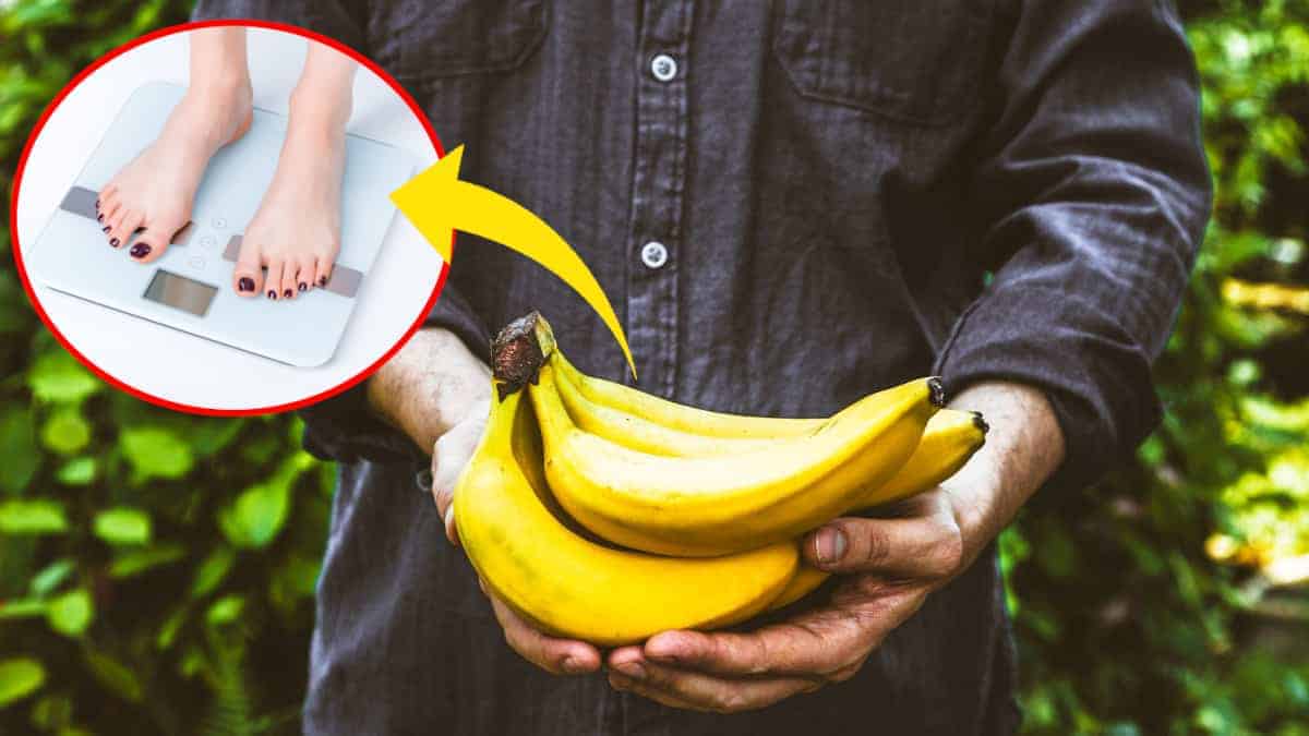 Le banane fanno ingrassare davvero? Scopriamolo insieme