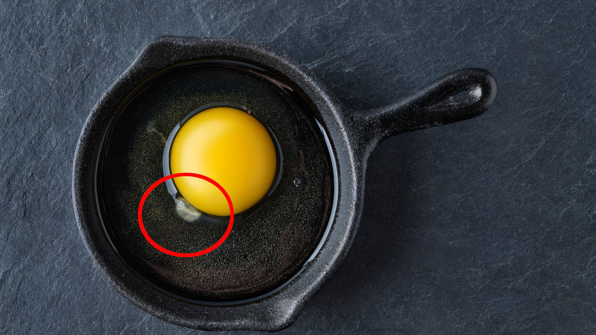 Hai mai notato questa strana macchia bianca quando apri un uovo crudo? Ecco di cosa si tratta