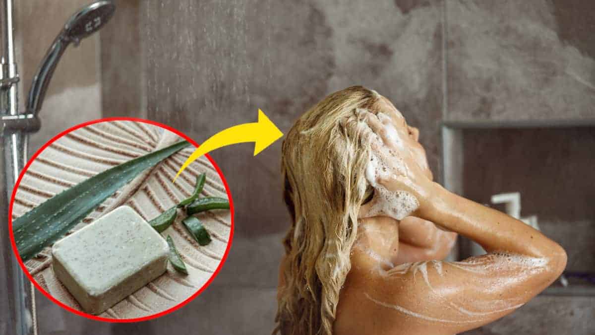 Trucco per preparare uno shampoo solido fatto in casa con aloe vera per lasciare i capelli lucenti