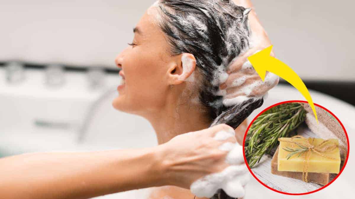 Come preparare uno shampoo solido al rosmarino per la cura dei capelli