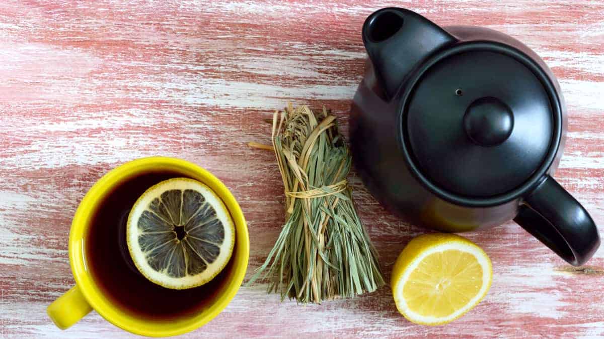 9 benefici della citronella per il corpo e per la mente