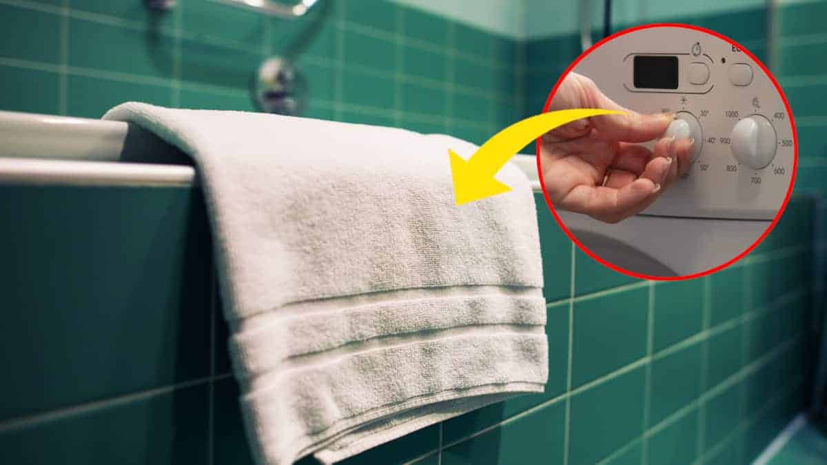 Stai commettendo un errore lavando gli asciugamani a 40°, lascia che ti illustri il motivo.