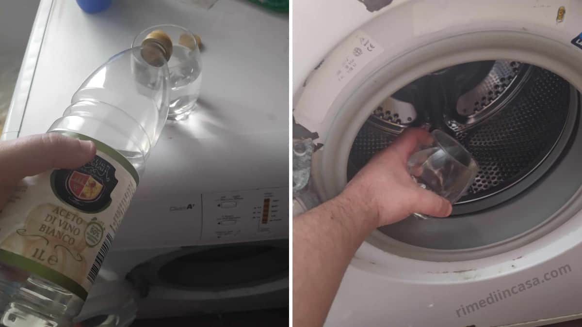 Prova il trucco del bicchiere con la lavatrice: potrai risparmiare una grande quantità di denaro