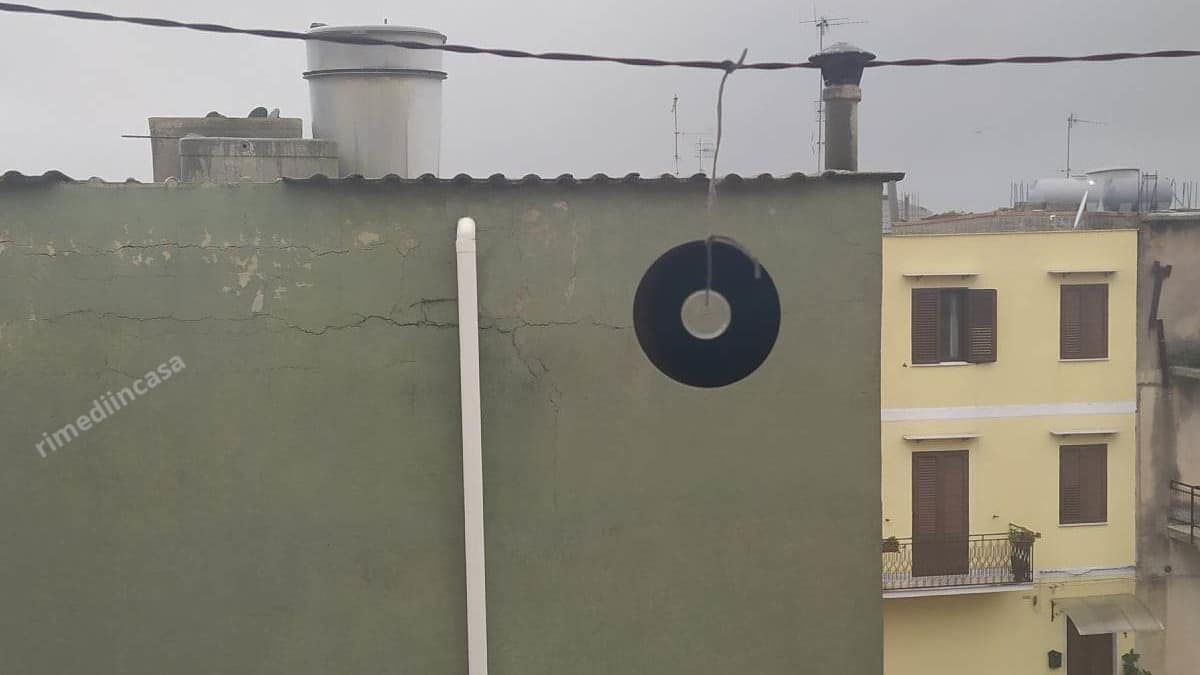 Addio Mosche E Moscerini: Con Un Barattolo Di Vetro Risolvi Il Problema - Foto 7