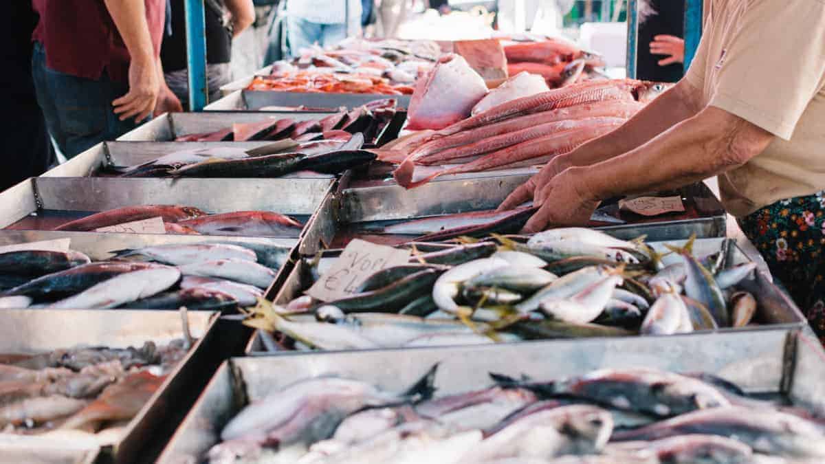 Come riconoscere un pesce fresco: il manuale per l’acquisto.