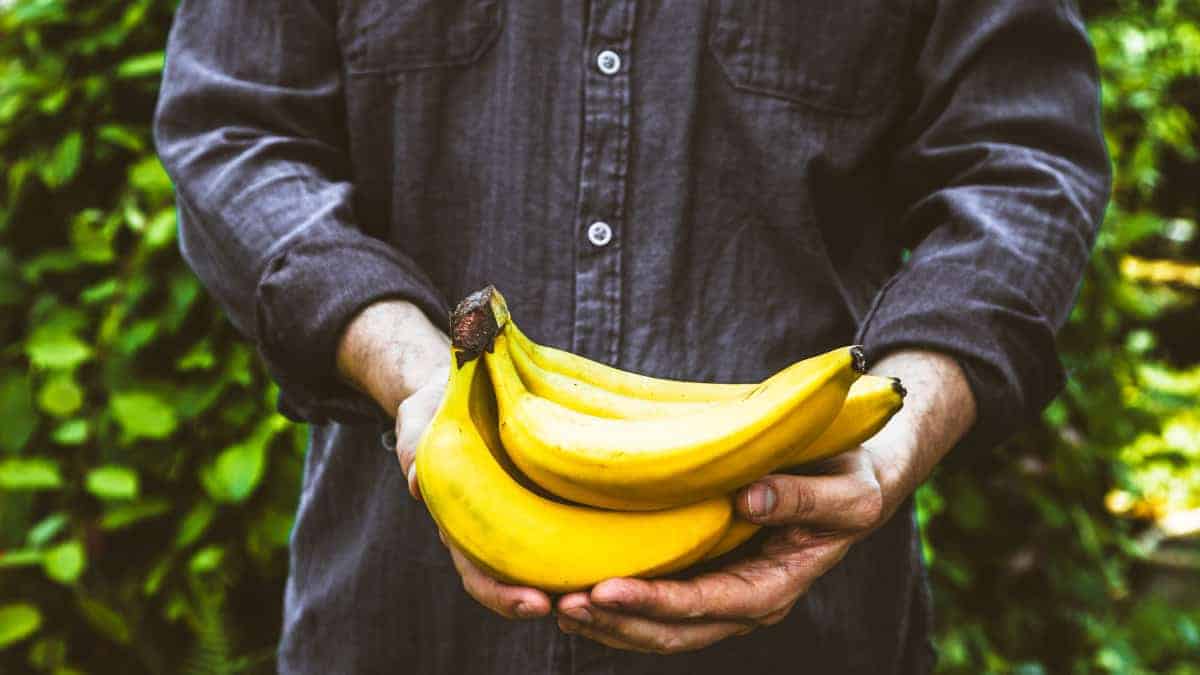 Banane contaminate da pesticidi? Ecco le marche migliori secondo i test