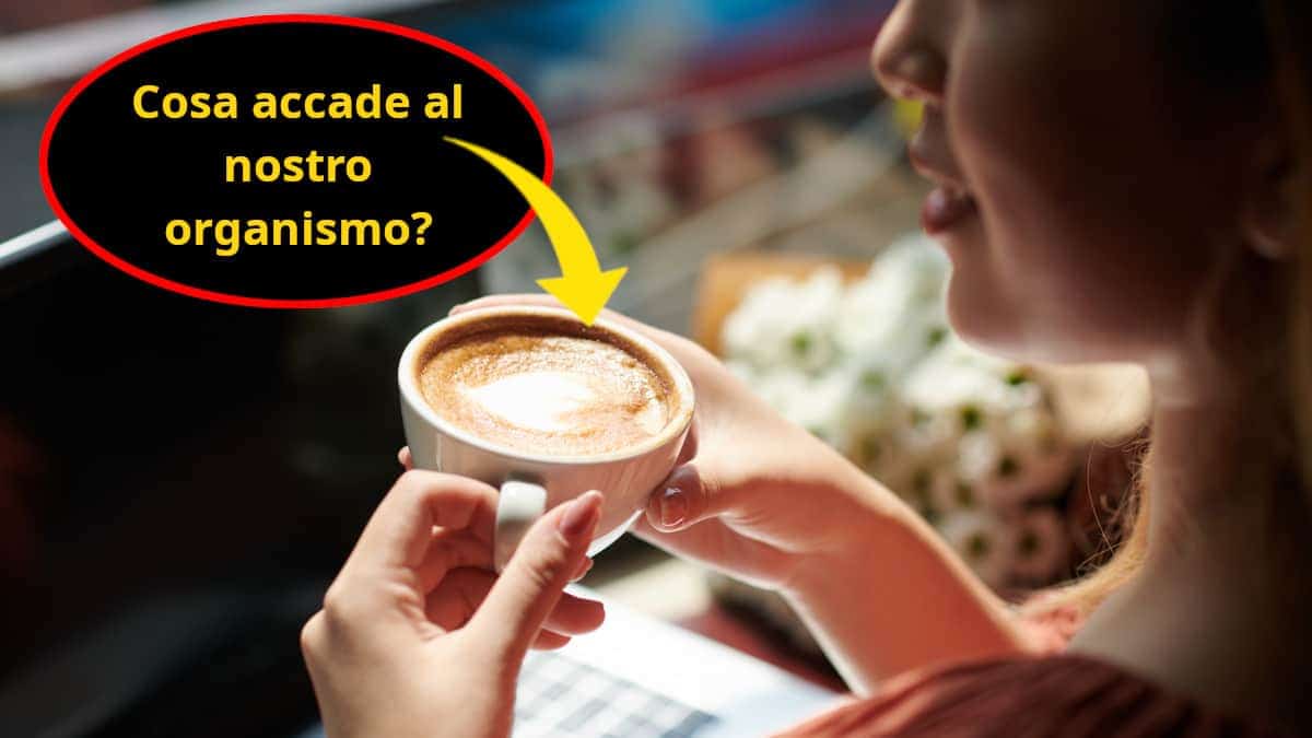 Cosa accade al nostro organismo se consumiamo più di un caffe e latte al giorno? L’inaspettata verità