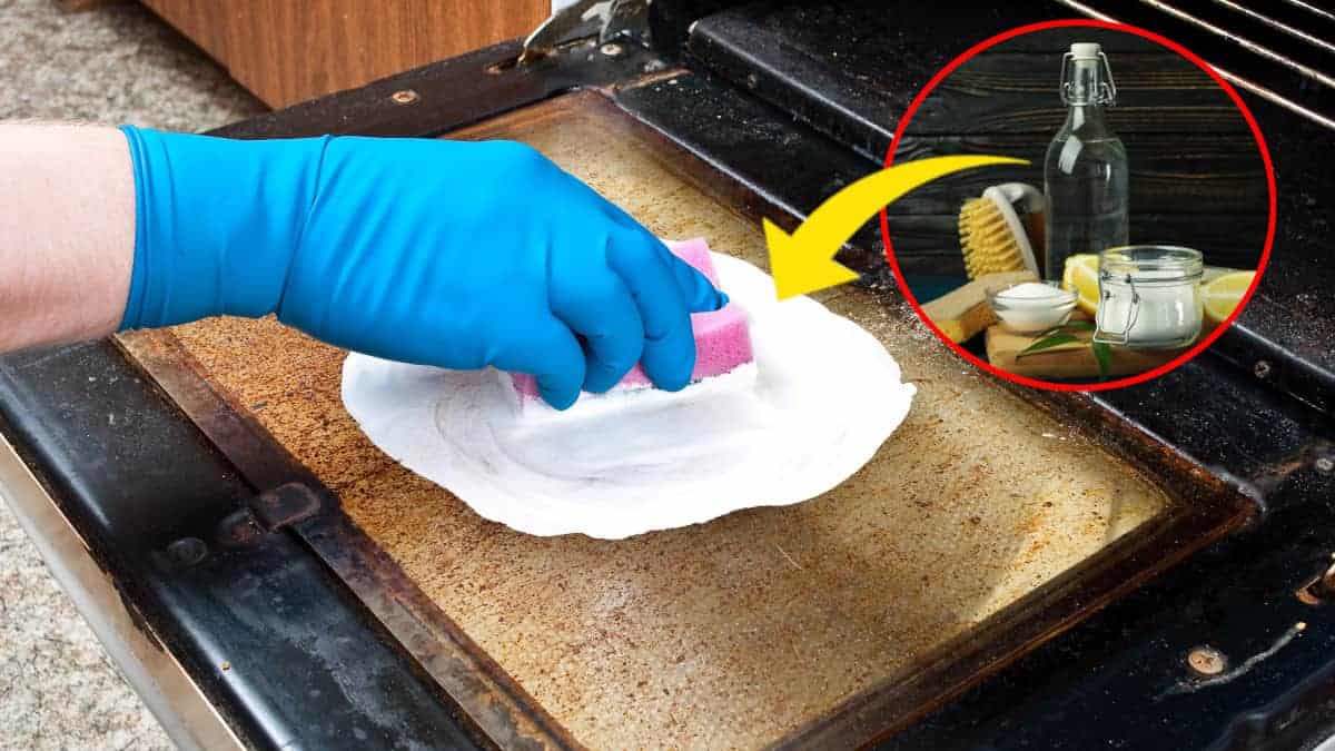 Un trucco sorprendente per pulire il doppio vetro del forno senza smontarlo: ci vogliono pochissimi minuti