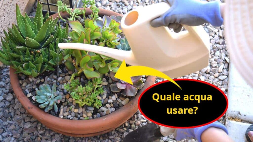 Coni in terracotta microporosa per Irrigazione piante e vasi Automatica Acqua Go - - Tutti i colori del brico
