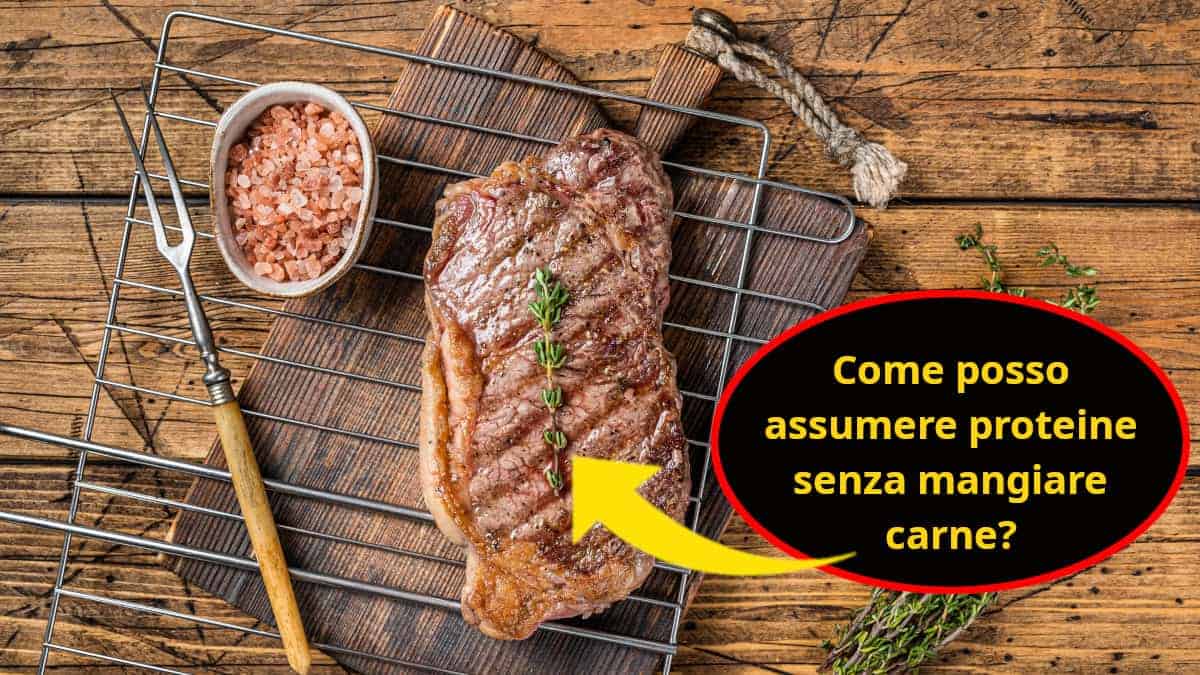 Come si possono assumere proteine senza mangiare carne?