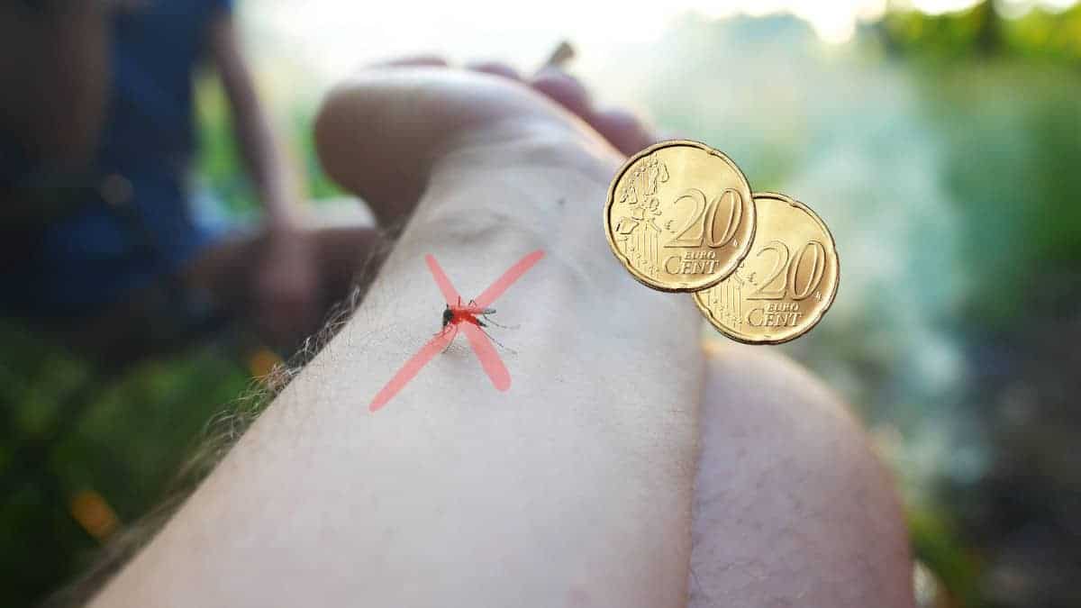 Dimenticate i zampironi, con soli 40 centesimi potete liberarvi delle zanzare per l’intera estate