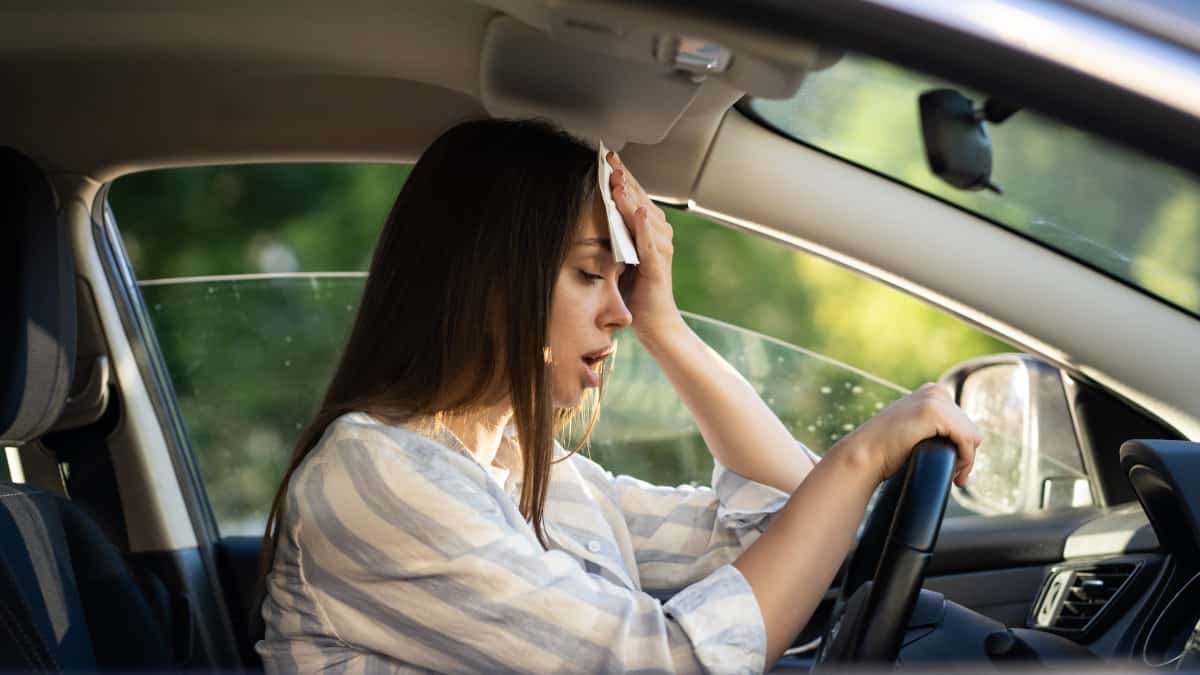 Sei alla ricerca di un modo per mantenere la tua auto fresca in condizioni di calore estremo? Ecco tre elementi essenziali che potrebbero aiutarti.