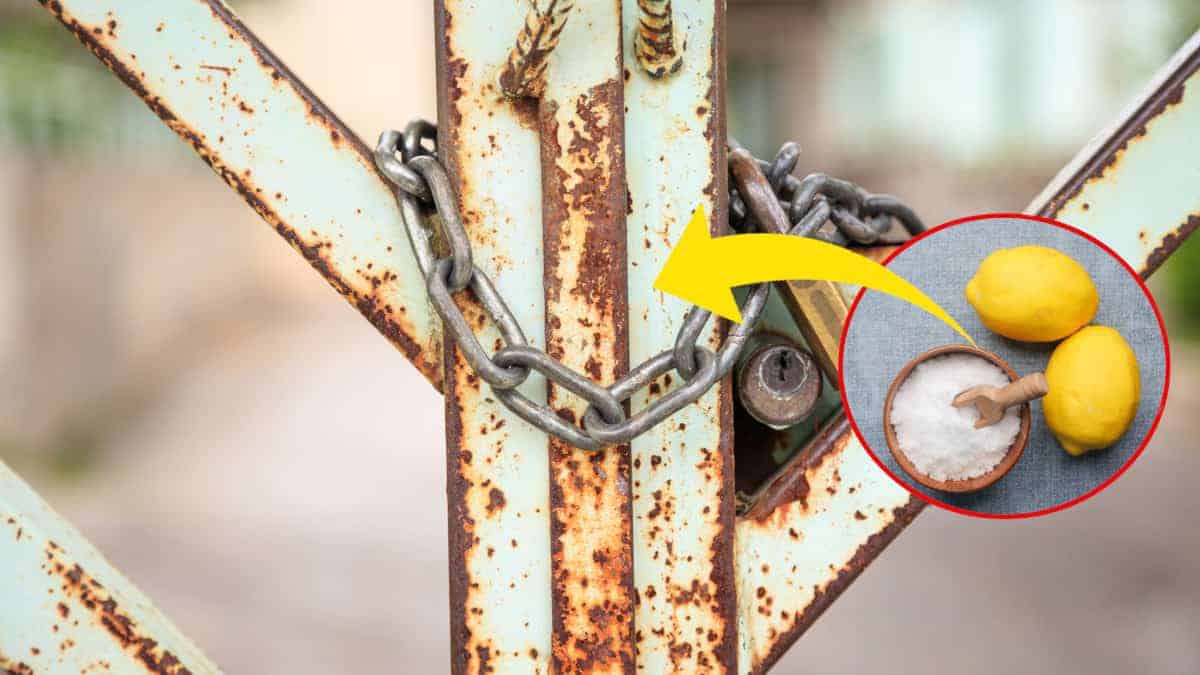 Come togliere la ruggine da porte e finestre senza verniciarle: 4 trucchi infallibili