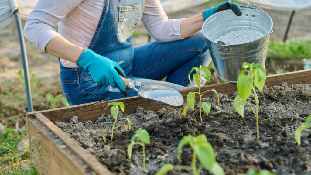Non acquistare fertilizzanti chimici: hai già ciò che ti serve in casa 