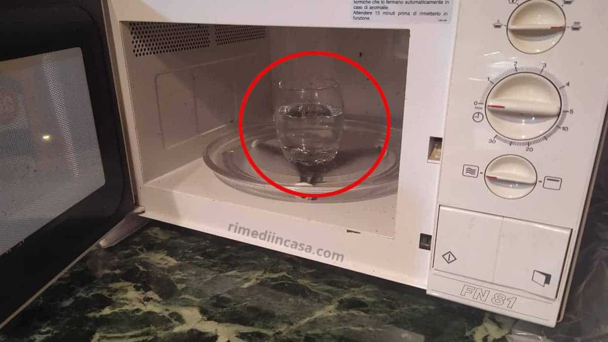 Il trucco del bicchiere d’acqua per scongelare gli alimenti nel microonde