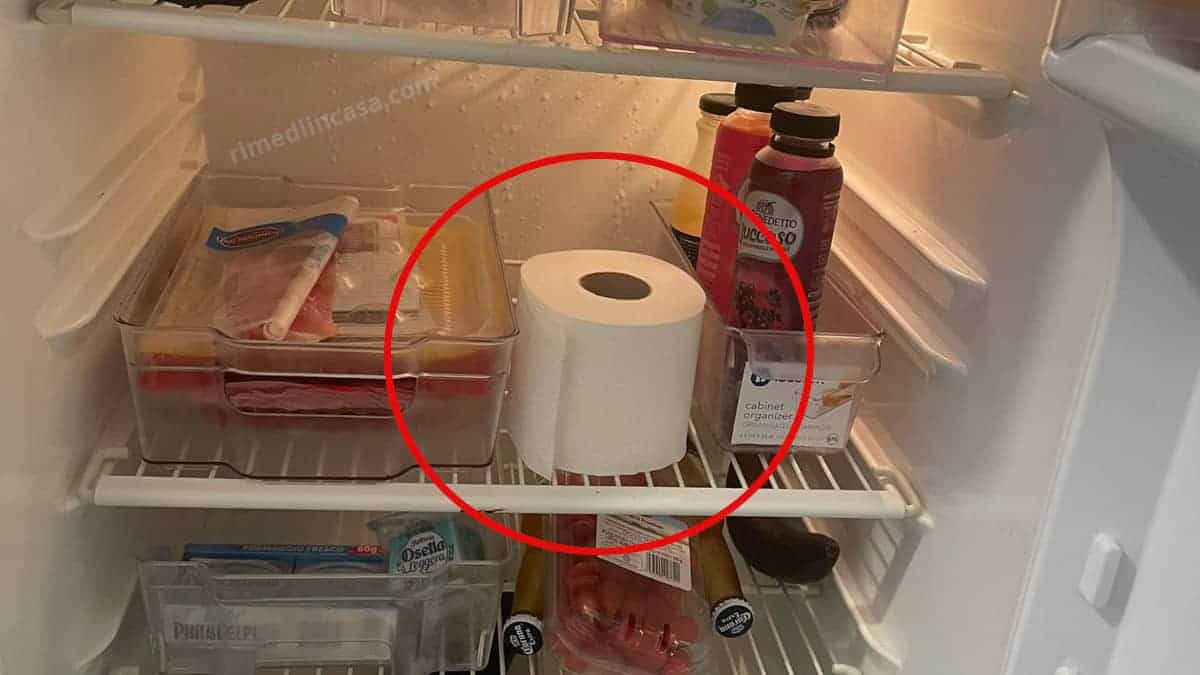 Ecco perché conservare un rotolo di carta igienica nel frigorifero.