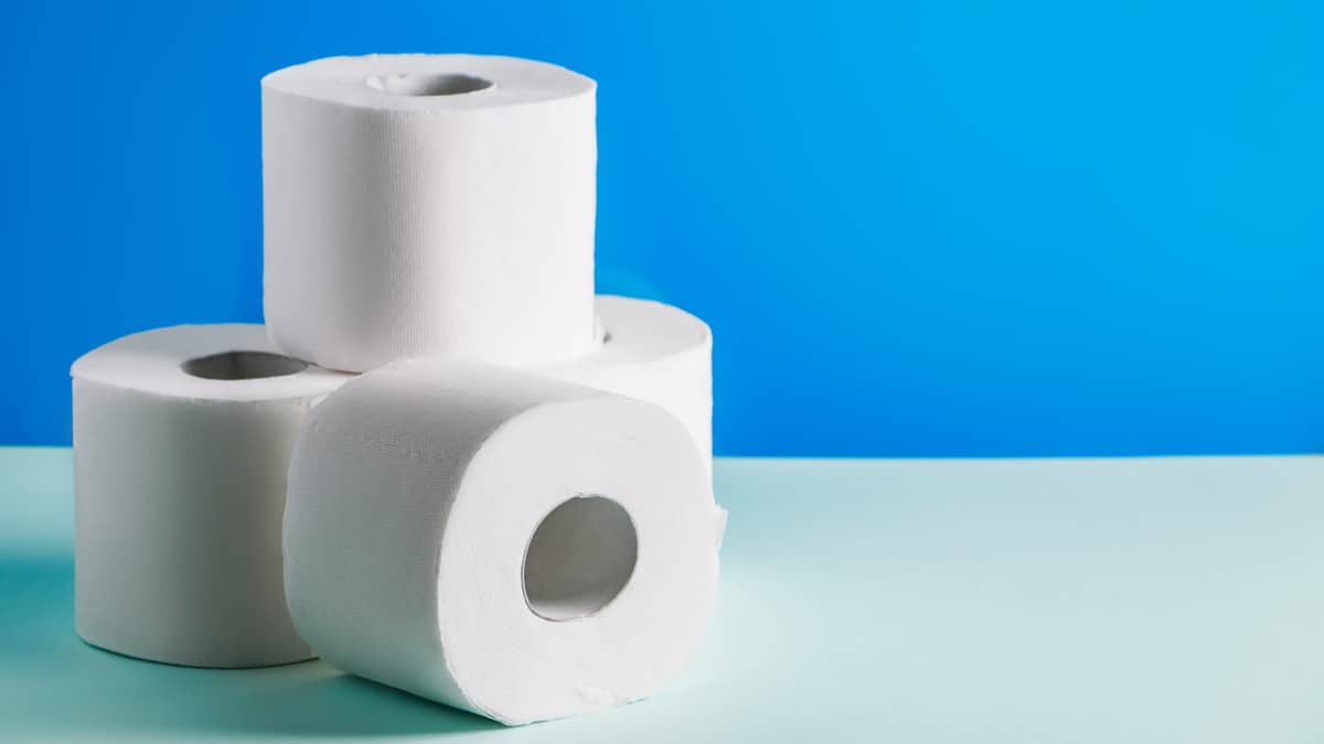Toyvian Mini Rotoli Carta Igienica Per Casa Delle Bambole - 2 Pezzi - Accessori In Miniatura