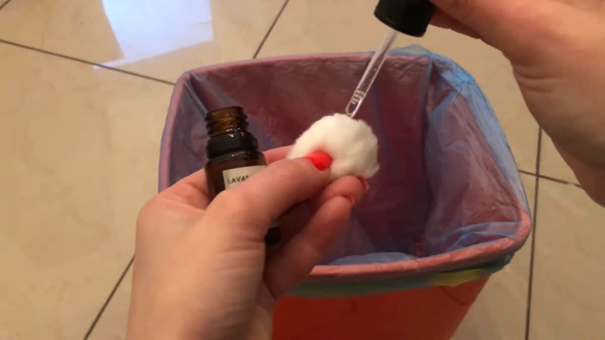 Filtri Assorbiodori Per Pattumiera - 3 Pezzi In Carbone Attivo - Per Bidoni Da 30L+ - Foto 10