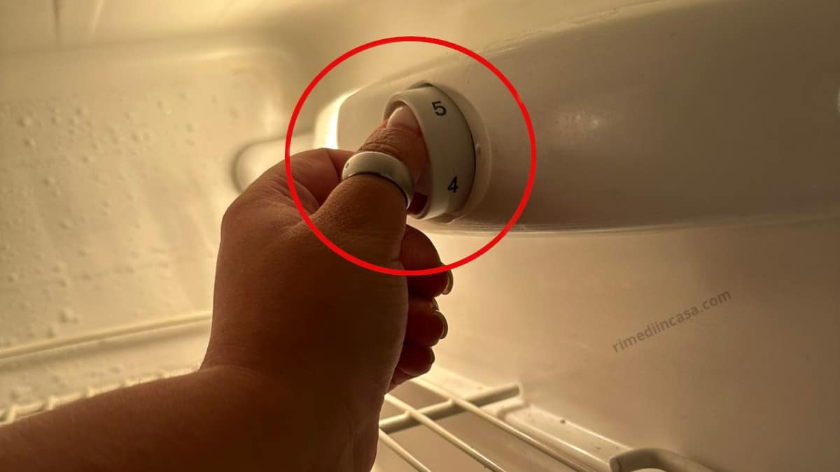 Impostare la giusta temperatura del frigorifero: suggerimenti e regole da rispettare
