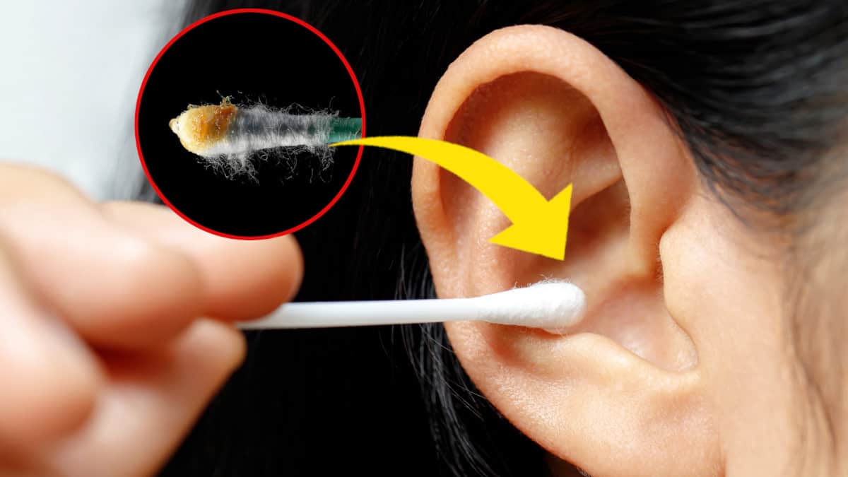 Qual è la ragione per cui le nostre orecchie producono cerume?