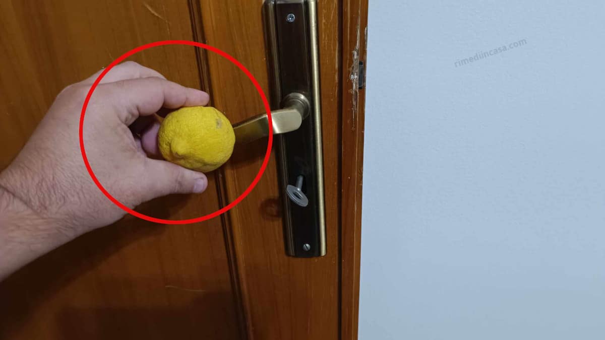 Perché molti strofinano un limone sulla maniglia della porta prima di coricarsi?
