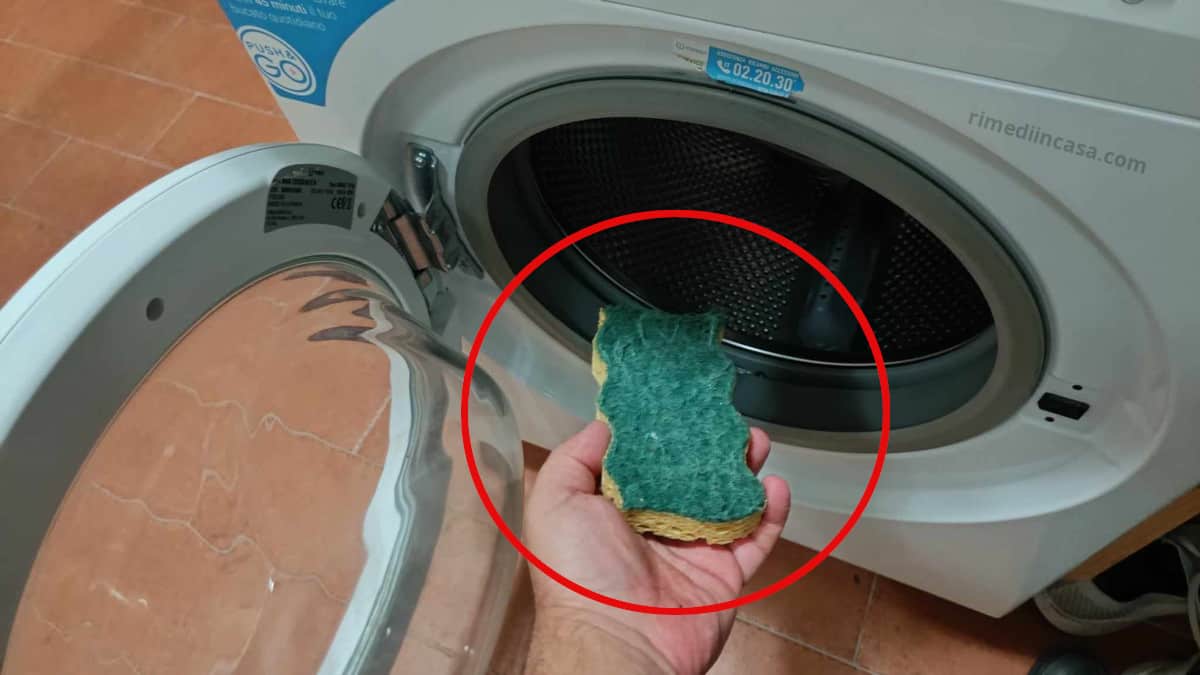 Perché mettere una spugna in lavatrice: un ottimo trucco