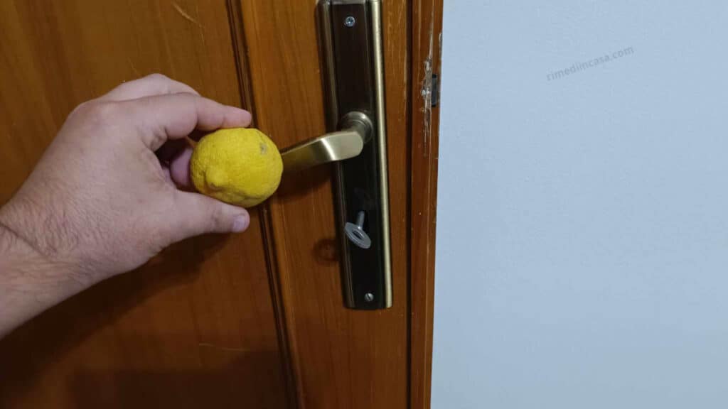 Perché molti strofinano un limone sulla maniglia della porta prima di coricarsi?  --- (Fonte immagine: https://rimediincasa.com/wp-content/uploads/2023/11/limone-1024x576.jpg)