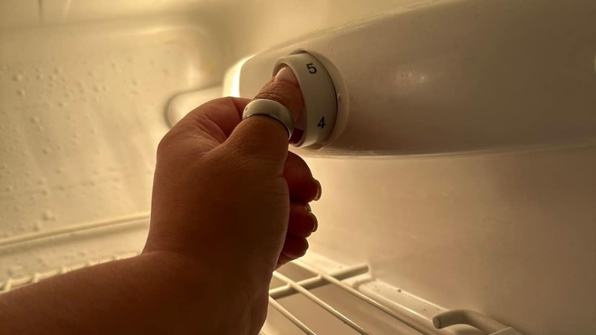 Come regolare correttamente il frigorifero: i segreti per sfruttare al meglio questo indispensabile elettrodomestico.