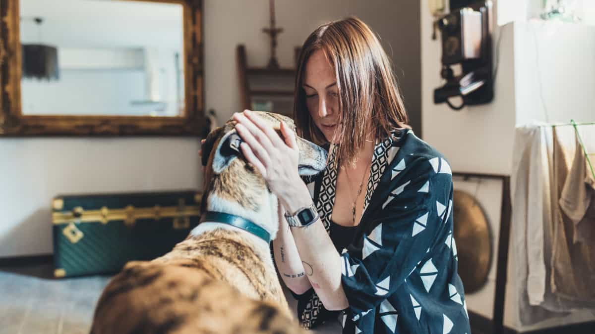 I cani possono capire se sei malato dal tuo odore: uno studio rivela come