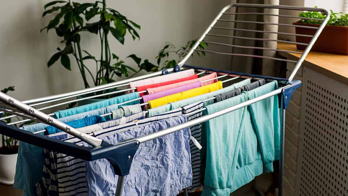 Beldray Stendibiancheria 2 In 1 A Rastrelliera Con 20 Clip – Per Calzini, Intimo E Piccoli Indumenti, In Alluminio, Si Aggancia A Stendini Rotanti O Corde, Uso Interno/esterno
